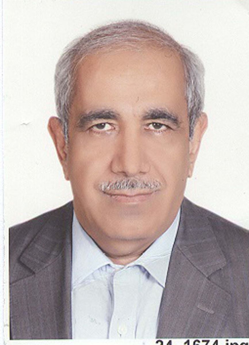 مهندس محمد راستی اردکانی (خزانه دار)
